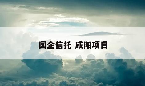 国企信托-咸阳项目
