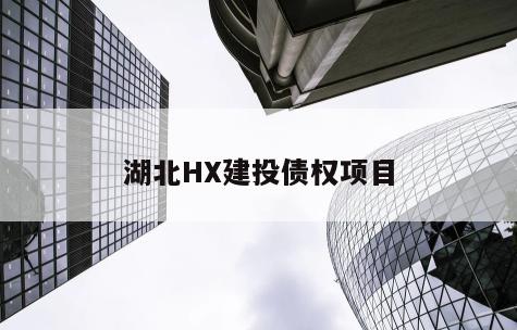 湖北HX建投债权项目
