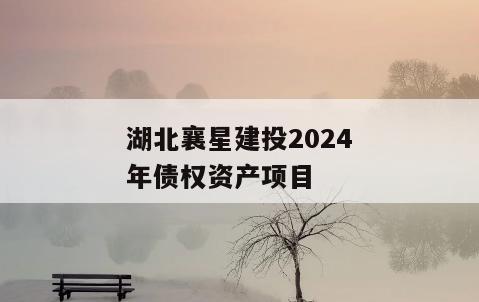 湖北襄星建投2024年债权资产项目