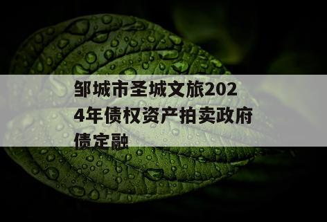邹城市圣城文旅2024年债权资产拍卖政府债定融