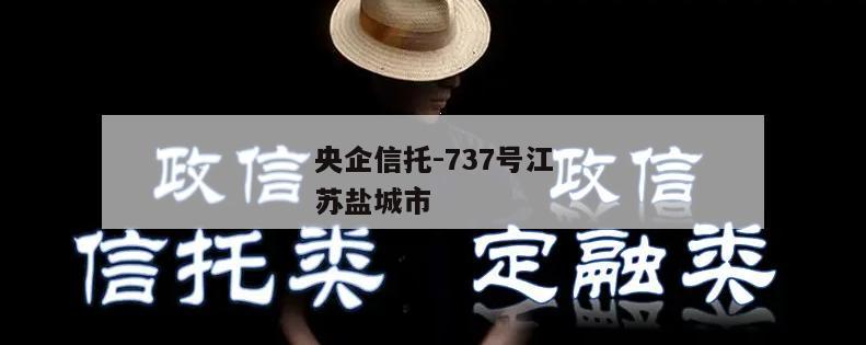 央企信托-737号江苏盐城市