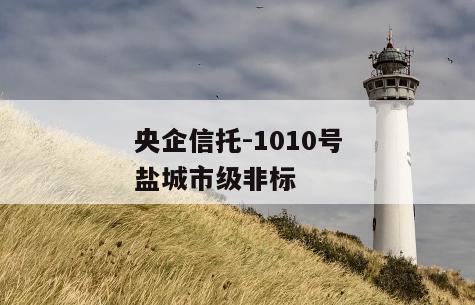 央企信托-1010号盐城市级非标