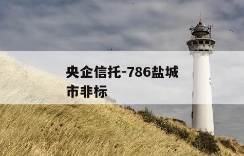 央企信托-786盐城市非标