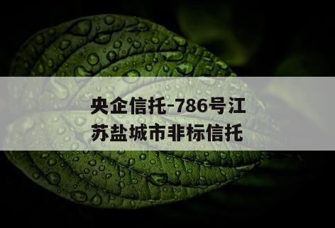 央企信托-786号江苏盐城市非标信托