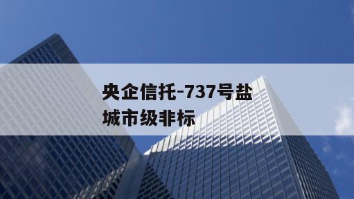 央企信托-737号盐城市级非标