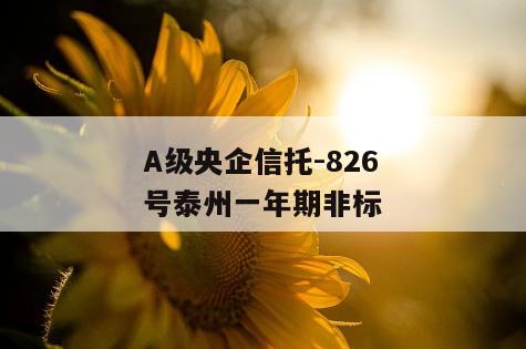 A级央企信托-826号泰州一年期非标