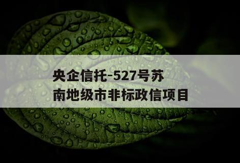 央企信托-527号苏南地级市非标政信项目