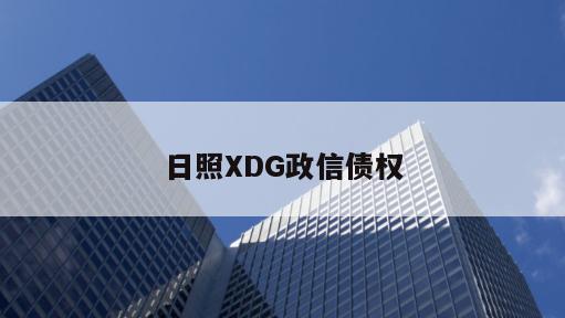 日照XDG政信债权
