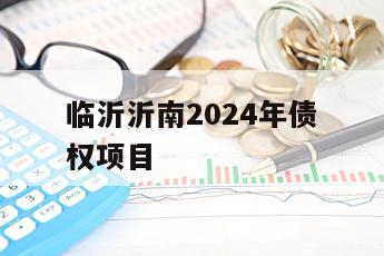 临沂沂南2024年债权项目