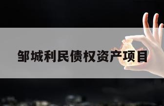邹城利民债权资产项目