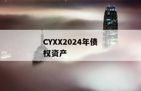 CYXX2024年债权资产