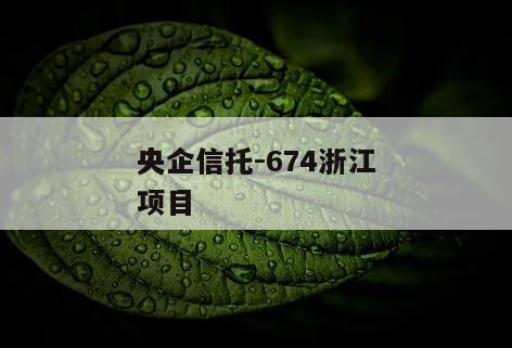 央企信托-674浙江项目