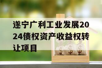 遂宁广利工业发展2024债权资产收益权转让项目