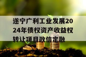 遂宁广利工业发展2024年债权资产收益权转让项目政信定融