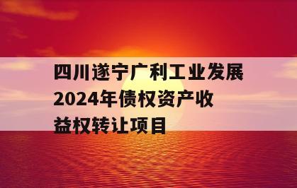 四川遂宁广利工业发展2024年债权资产收益权转让项目