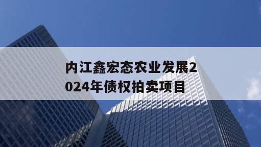内江鑫宏态农业发展2024年债权拍卖项目