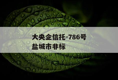 大央企信托-786号盐城市非标