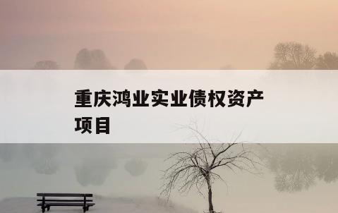 重庆鸿业实业债权资产项目