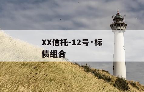 XX信托-12号·标债组合