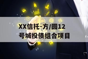 XX信托-方/圆12号城投债组合项目