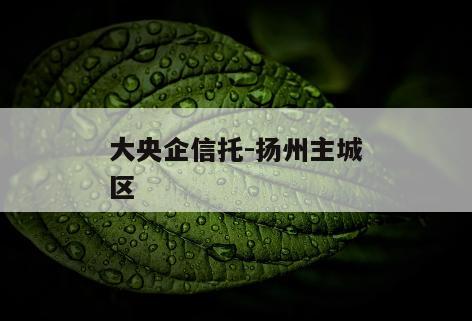 大央企信托-扬州主城区