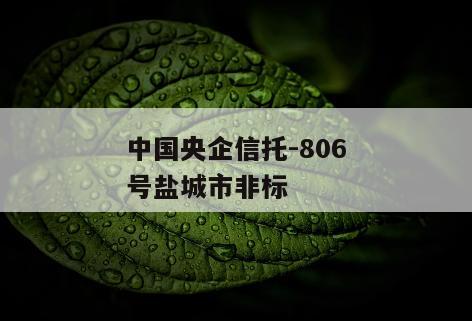中国央企信托-806号盐城市非标