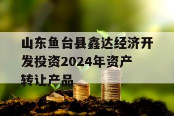 山东鱼台县鑫达经济开发投资2024年资产转让产品