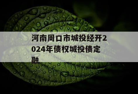 河南周口市城投经开2024年债权城投债定融