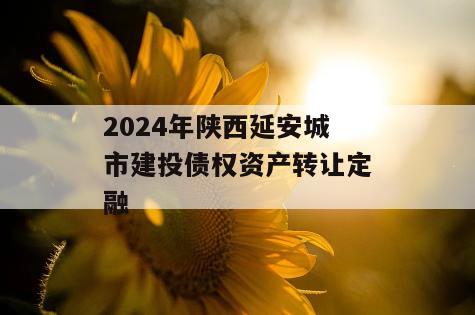 2024年陕西延安城市建投债权资产转让定融