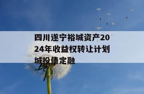 四川遂宁裕城资产2024年收益权转让计划城投债定融