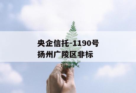 央企信托-1190号扬州广陵区非标