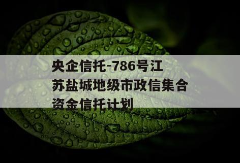 央企信托-786号江苏盐城地级市政信集合资金信托计划