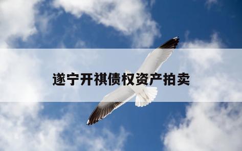 遂宁开祺债权资产拍卖