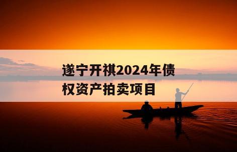 遂宁开祺2024年债权资产拍卖项目