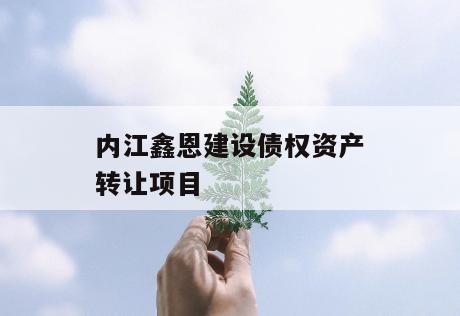 内江鑫恩建设债权资产转让项目