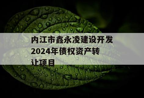 内江市鑫永凌建设开发2024年债权资产转让项目
