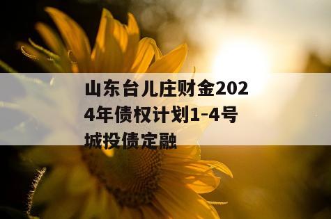 山东台儿庄财金2024年债权计划1-4号城投债定融