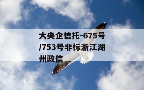 大央企信托-675号/753号非标浙江湖州政信