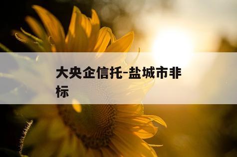 大央企信托-盐城市非标