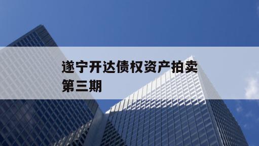 遂宁开达债权资产拍卖第三期