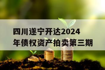 四川遂宁开达2024年债权资产拍卖第三期