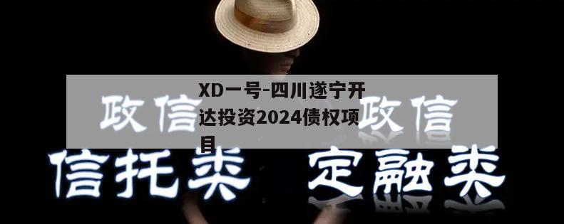 XD一号-四川遂宁开达投资2024债权项目