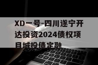 XD一号-四川遂宁开达投资2024债权项目城投债定融