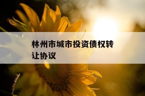 林州市城市投资债权转让协议