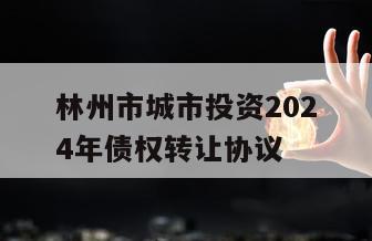 林州市城市投资2024年债权转让协议