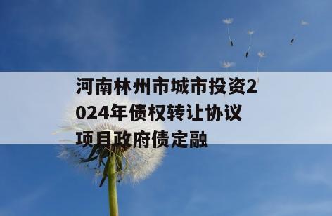 河南林州市城市投资2024年债权转让协议项目政府债定融