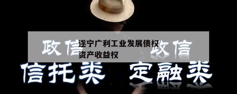 遂宁广利工业发展债权资产收益权