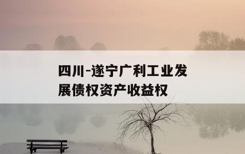 四川-遂宁广利工业发展债权资产收益权