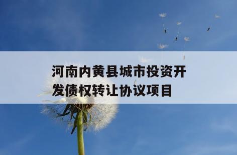 河南内黄县城市投资开发债权转让协议项目