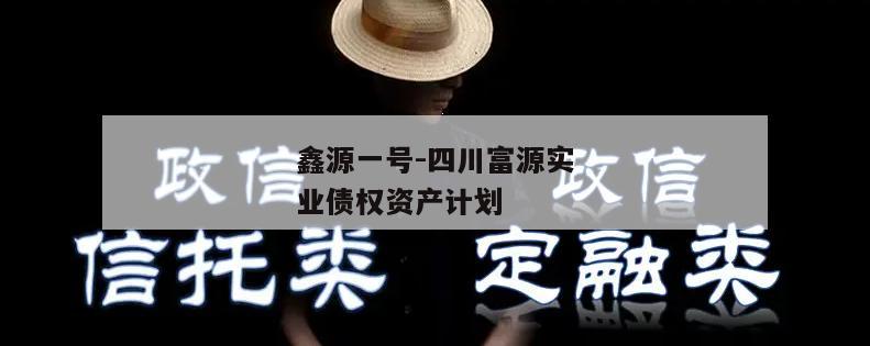 鑫源一号-四川富源实业债权资产计划